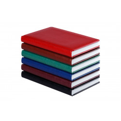 Ежедневник недатированный